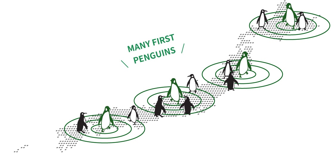 MANY FIRST PENGUINS